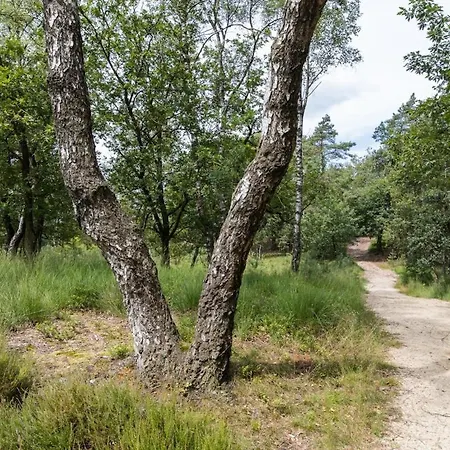 Шале Luxe Veluwe Sauna En Hottub