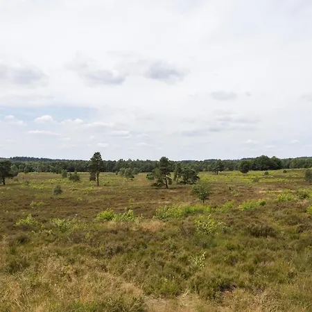 בקתה Luxe Veluwe Sauna En Hottub *