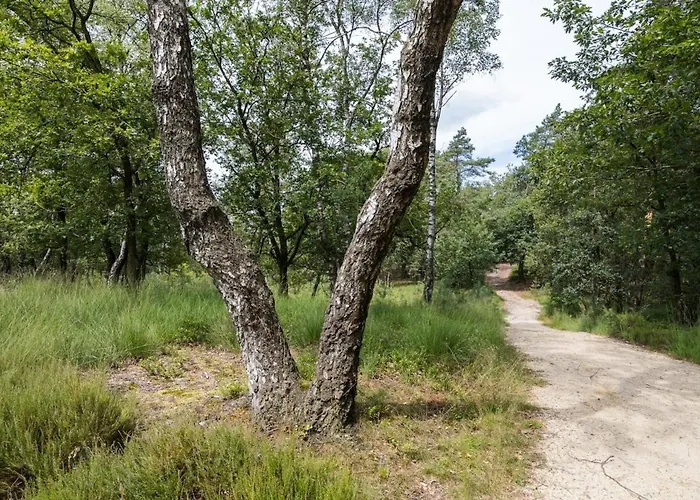 Alpesi faház Luxe Veluwe Sauna En Hottub