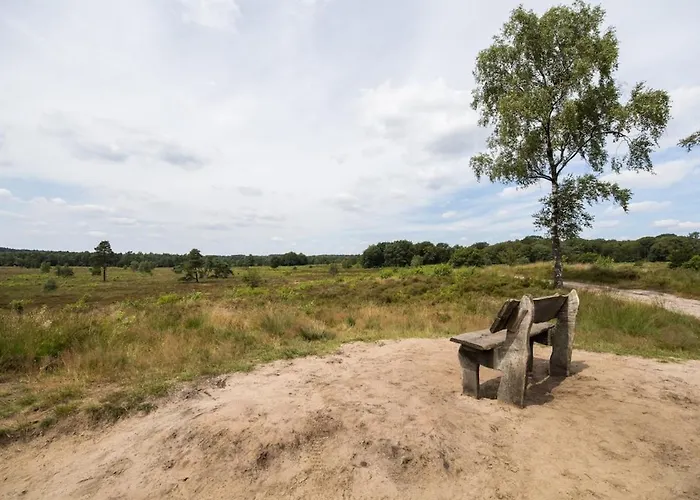 Luxe Veluwe Sauna En Hottub * Hoenderloo