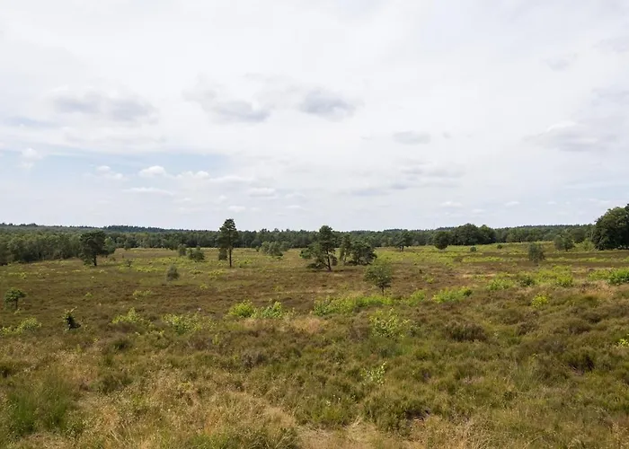 Alpesi faház Luxe Veluwe Sauna En Hottub *