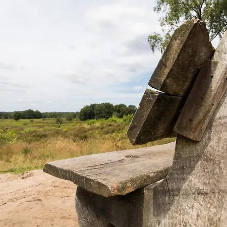 Luxe Veluwe Sauna En Hottub Chalet Hoenderloo