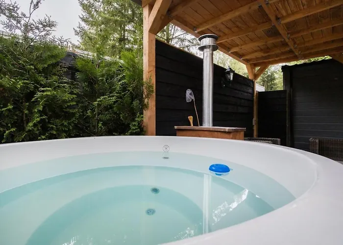 Chalet Luxe Veluwe Sauna En Hottub Hoenderloo