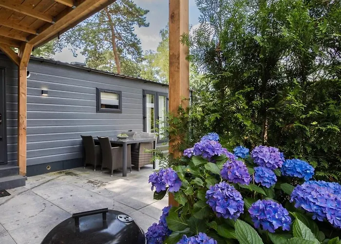 Luxe Veluwe Sauna En Hottub