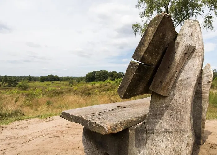 Luxe Veluwe Sauna En Hottub Chalet Hoenderloo